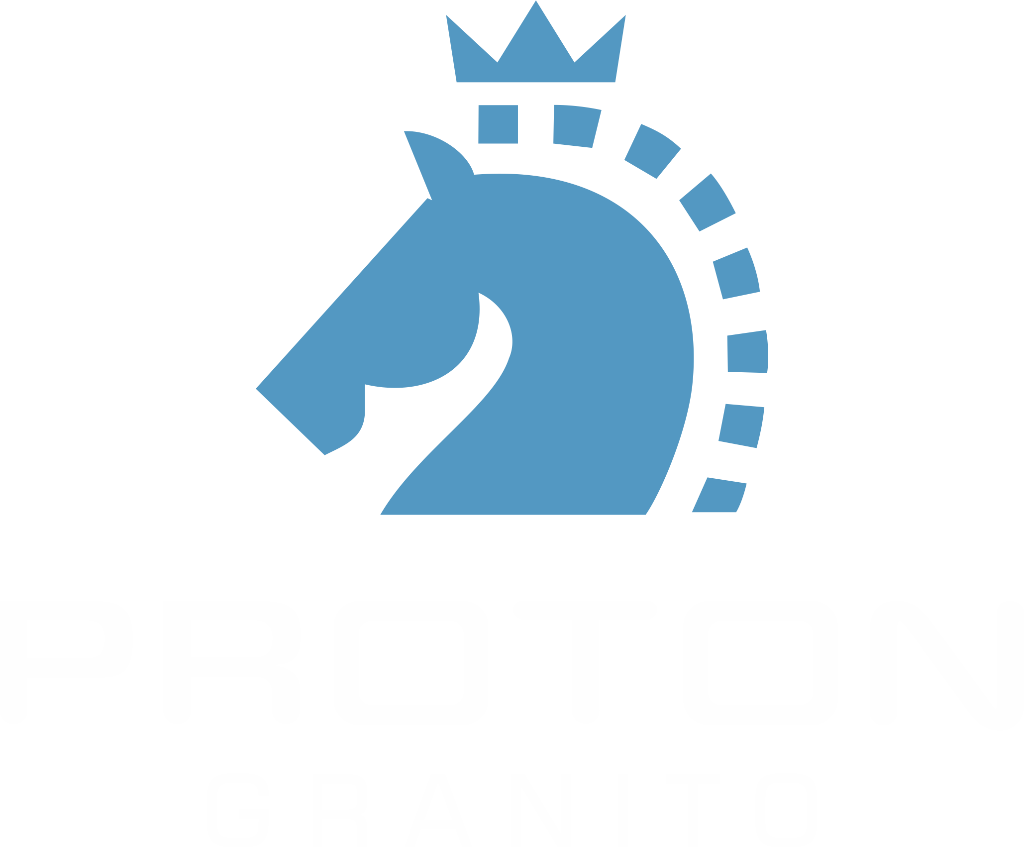 PROTON GRANITO PVT. LTD.